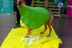 20190721_170902