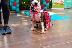 20190616_153211
