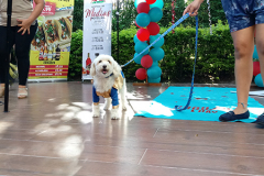 20190616_161029