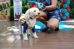 20190616_161031