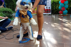 20190616_161140