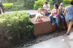 20190616_163440