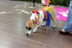 20190519_154906