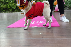 20190519_155601