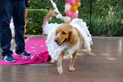 20190519_155825