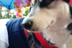 20190519_160049