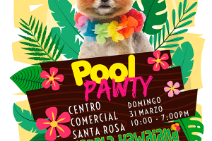 POOL PAWTY  2019