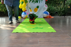 20190331_161707