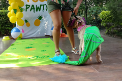 20190331_162522