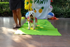 20190331_162820