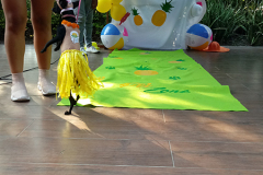 20190331_162910