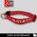 Collar identificacion para perro – paw Talla S – ropa y accesorios para perro el salvador – Sweety Pets El salvador