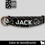 Collar identificacion para perro – paw Talla S – ropa y accesorios para perro el salvador – Sweety Pets El salvador