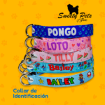 Collar para perro- CATALOGO 2025 — ropa y accesorios para perro – Sweety Pets El Salvador