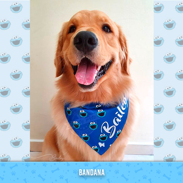 Bandana para perrito – diseño cookie monster – ropa y accesorios para perro el salvador – Sweety Pets El salvador