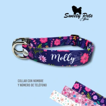collar de perro