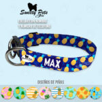 Collar identificacion para perro y gato – diseños de PIÑAS – ropa y accesorios para mascotas El Salvador – Sweety Pets Store
