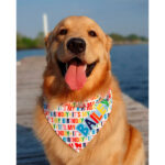 Bandana para perrito o gatitos -diseño ITS MY BIRTHDAY – ropa y accesorios para perro el salvador – Sweety Pets