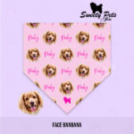 Bandana para perrito o gatitos – Personalizada con caritas danna – ropa y accesorios para perro el salvador – Sweety Pets