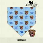 Bandana para perrito o gatitos – Personalizada con caritas danna – ropa y accesorios para perro el salvador – Sweety Pets