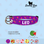 Collar id identificacion para perro- SANDIAS – ropa y accesorios para perro el salvador – Sweety Pets