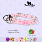 Collar id identificacion para perro- SANDIAS – ropa y accesorios para perro el salvador – Sweety Pets