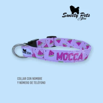 collar para perro