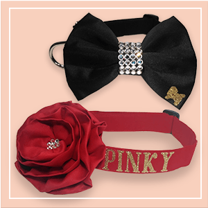 Glam-Pets