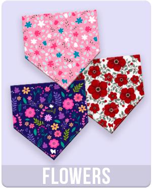 Flowers Collections