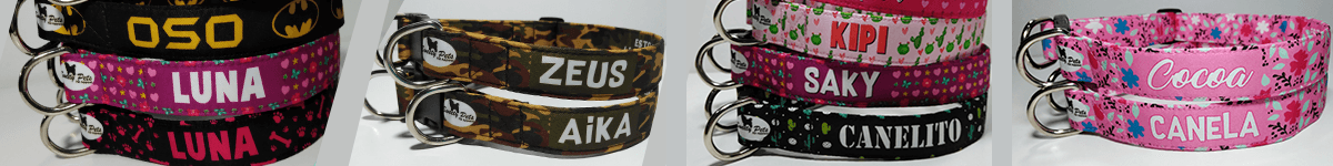 collar para perros personalizados de identificacion